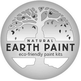NATURAL EARTH PAINT ECO-FRIENDLY PAINT KITS