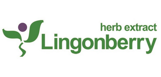 LINGONBERRY HERB EXTRACT