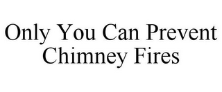 ONLY YOU CAN PREVENT CHIMNEY FIRES