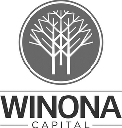 WINONA CAPITAL