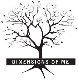 DIMENSIONS OF ME