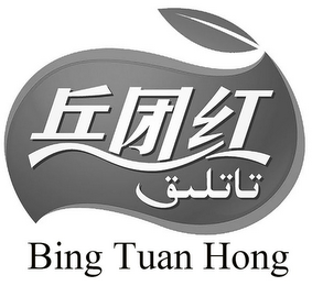 BING TUAN HONG