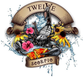 TWELVE XII SCORPIO