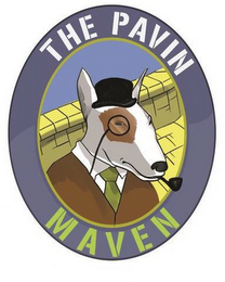 THE PAVIN MAVEN