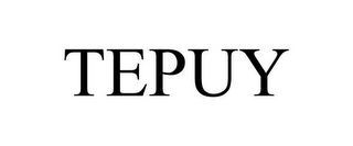 TEPUY