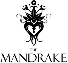 THE MANDRAKE