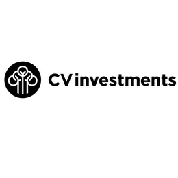 CV INVESTMENTS