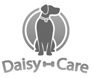 DAISY CARE