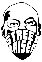 STREET RAISED