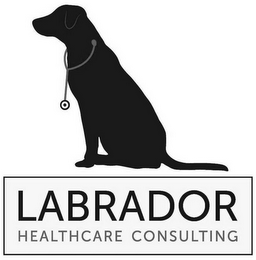 LABRADOR HEALTHCARE CONSULTING