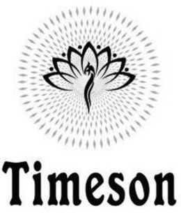 TIMESON