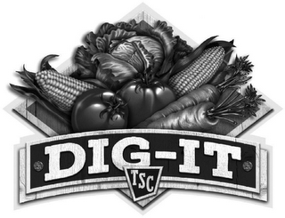 DIG-IT TSC