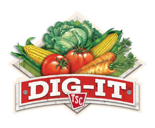 DIG-IT TSC