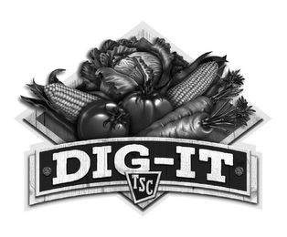 DIG-IT TSC