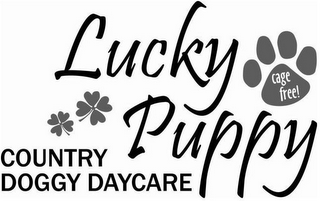 LUCKY PUPPY COUNTRY DOGGY DAYCARE CAGE FREE!