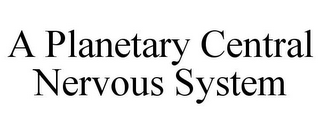 A PLANETARY CENTRAL NERVOUS SYSTEM