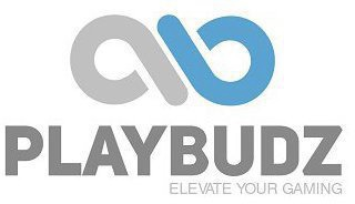 PLAYBUDZ ELEVATE YOUR GAMING