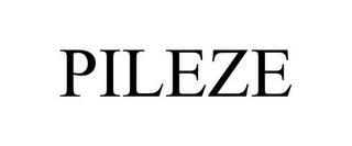 PILEZE