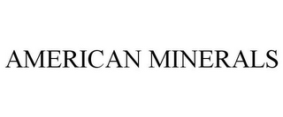 AMERICAN MINERALS