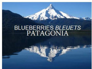 BLUEBERRIES BLEUETS PATAGONIA