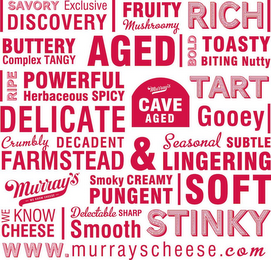 SAVORY EXCLUSIVE DISCOVERY FRUITY MUSHROOMY RICH BUTTERY COMPLEX TANGY AGED BOLD TOASTY BITING NUTTY RIPE POWERFUL HERBACEOUS SPICY TART DELICATE MURRAY'S CAVE AGED GOOEY CRUMBLY DECADENT FARMSTEAD & SEASONAL SUBTLE LINGERING MURRAY'S -WE KNOW CHEESE- SMOKY CREAMY PUNGENT SOFT WE KNOW CHEESE DELECTABLE SHARP SMOOTH STINKY WWW.MURRAYSCHEESE.COM