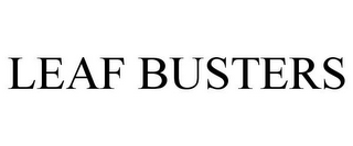 LEAF BUSTERS