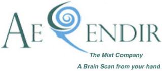 AERENDIR THE MIST COMPANY A BRAIN SCAN FROM YOUR HAND