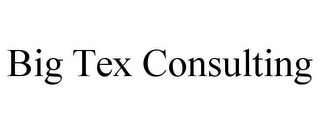 BIG TEX CONSULTING