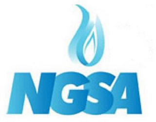 NGSA