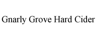 GNARLY GROVE HARD CIDER