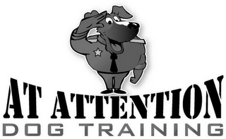 AT ATTENTION DOG TRAINING