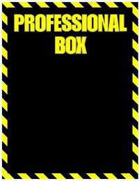 PROFESSIONAL BOX