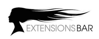 EXTENSIONS BAR