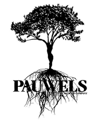 PAUWELS THE PAUWELS COMPANY