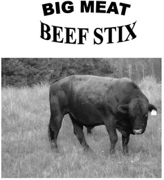 BIG MEAT BEEF STIX