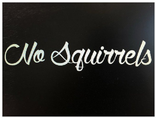 NO SQUIRRELS