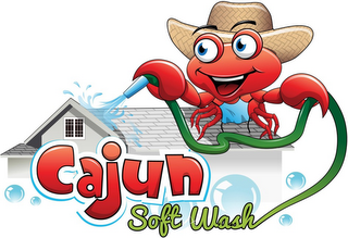 CAJUN SOFT WASH