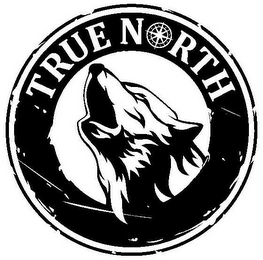 TRUE NORTH