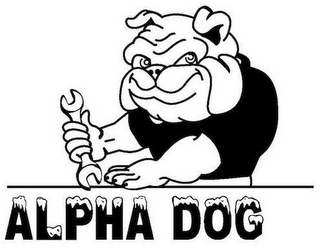 ALPHA DOG