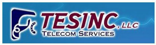 TESINC LLC TELECOM SERVICES C