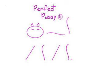 PERFECT PUSSY