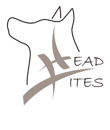 HEAD-LITES