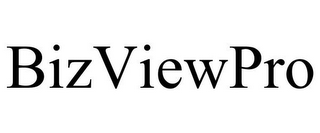 BIZVIEWPRO