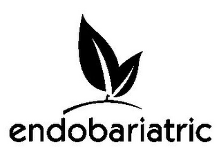 ENDOBARIATRIC