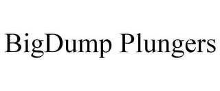 BIGDUMP PLUNGERS