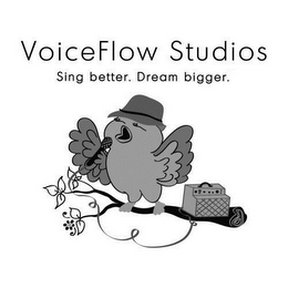 VOICEFLOW STUDIOS SING BETTER. DREAM BIGGER.