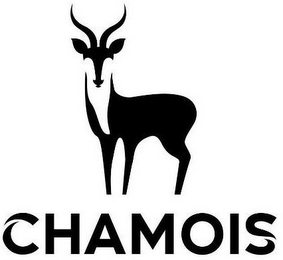 CHAMOIS