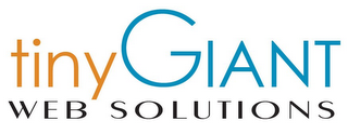 TINY GIANT WEB SOLUTIONS