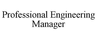 PROFESSIONAL ENGINEERING MANAGER