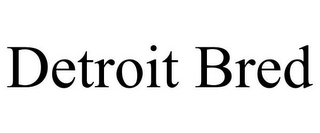 DETROIT BRED